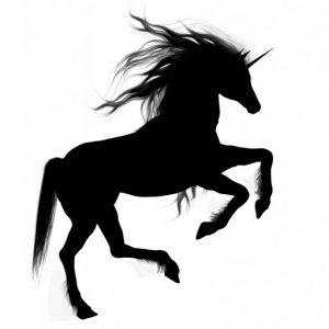 cropped-unicorn-silhouette